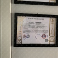 Resmi büyüt: certificate 9