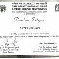Resmi büyüt: certificate 4