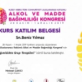 Resmi büyüt: certificate 2