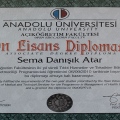Resmi büyüt: certificate 9