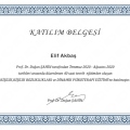 Resmi büyüt: certificate 6