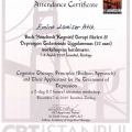 Resmi büyüt: certificate 8