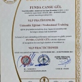 Resmi büyüt: certificate 12