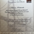 Resmi büyüt: certificate 12