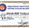 Resmi büyüt: certificate 22