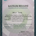 Resmi büyüt: certificate 3