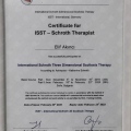 Resmi büyüt: certificate 3