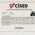 Resmi büyüt: certificate 4