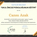 Resmi büyüt: certificate 9