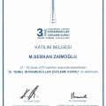Resmi büyüt: certificate 32