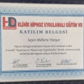 Resmi büyüt: certificate 2