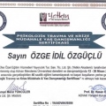 Resmi büyüt: certificate 6