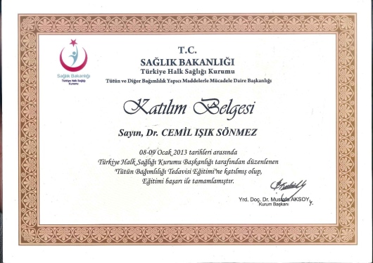Cemil Işık Sönmez-8