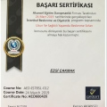 Resmi büyüt: certificate 20