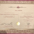 Resmi büyüt: certificate 2