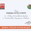Resmi büyüt: certificate 12