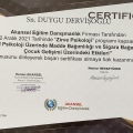 Resmi büyüt: certificate 25