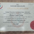 Resmi büyüt: certificate 3