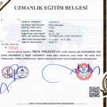 Resmi büyüt: certificate 2
