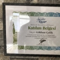 Resmi büyüt: certificate 7