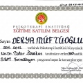 Resmi büyüt: certificate 26