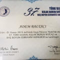 Resmi büyüt: certificate 1