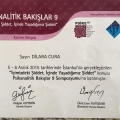 Resmi büyüt: certificate 8