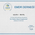 Resmi büyüt: certificate 10