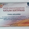 Resmi büyüt: certificate 9