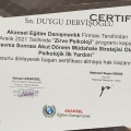 Resmi büyüt: certificate 29