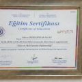 Resmi büyüt: certificate 6