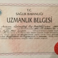 Resmi büyüt: certificate 2