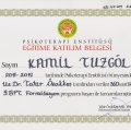 Resmi büyüt: certificate 5