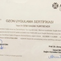 Resmi büyüt: certificate 2