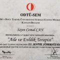 Resmi büyüt: certificate 19