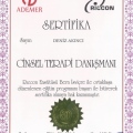Resmi büyüt: certificate 3