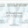 Resmi büyüt: certificate 2