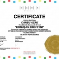 Resmi büyüt: certificate 3