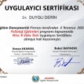Resmi büyüt: certificate 16