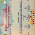 Resmi büyüt: certificate 1
