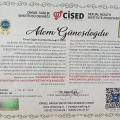 Resmi büyüt: certificate 1
