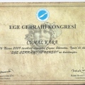 Resmi büyüt: certificate 4