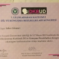 Resmi büyüt: certificate 12