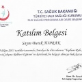 Resmi büyüt: certificate 4