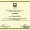 Resmi büyüt: certificate 16