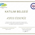 Resmi büyüt: certificate 6