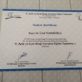 Resmi büyüt: certificate 1
