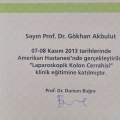 Resmi büyüt: certificate 2
