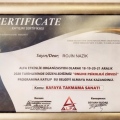 Resmi büyüt: certificate 13