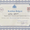 Resmi büyüt: certificate 5
